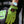 Load image into Gallery viewer, FLY GEENIUS x VANSON | PERFORATED LEATHER GLOVES | KAWASAKI GREEN / BLACK
