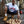Load image into Gallery viewer, Intelligent Gangster Tee
