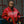 Load image into Gallery viewer, Fly Geenius × Vanson Bomber — Harlem [Red]
